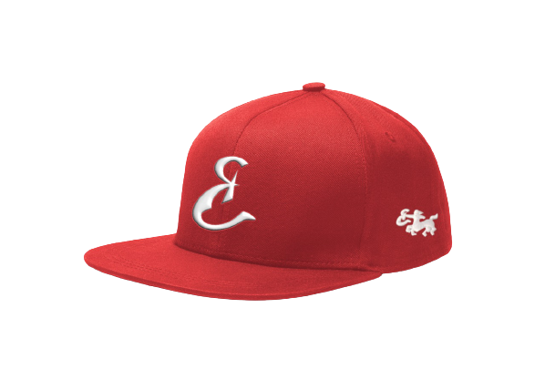 Snap Back Hat by Ethicrace